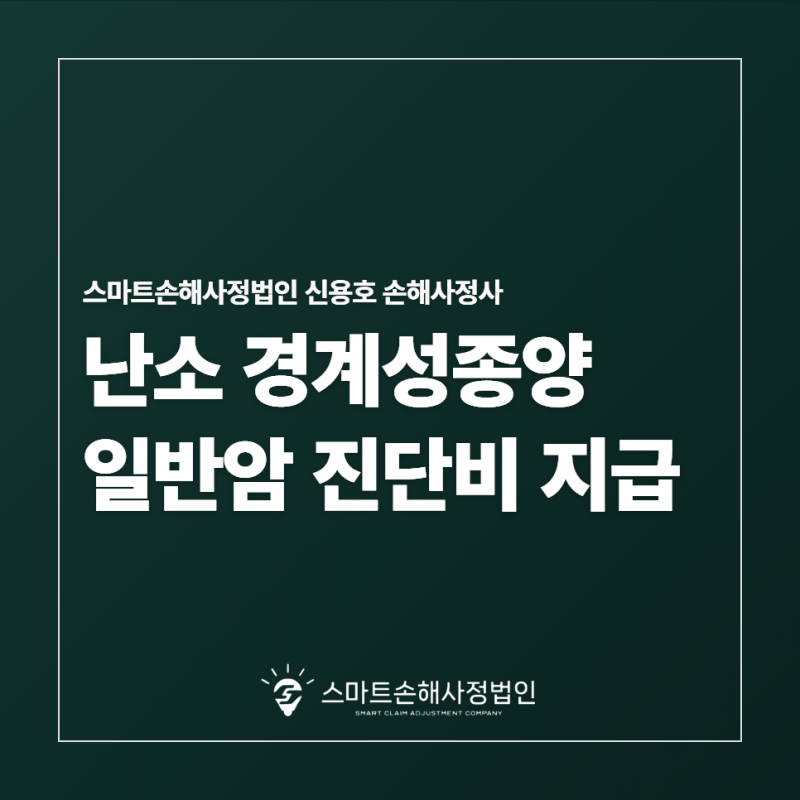 부산 난소 경계성종양 일반암 진단비 지급검토
