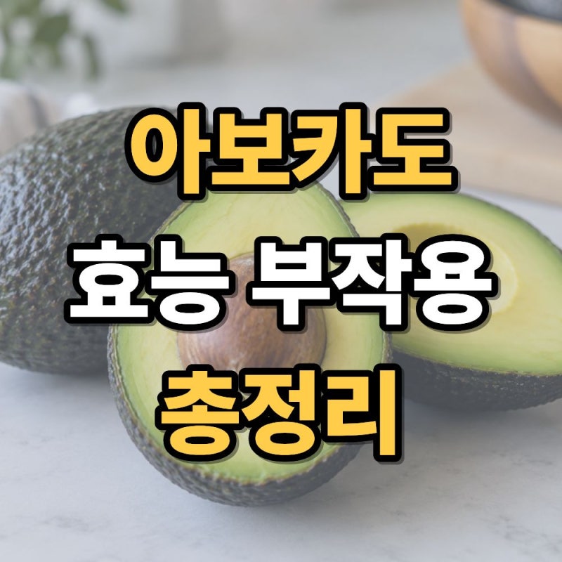 아보카도 효능 및 부작용 총정리｜아보카도오일 효능과 먹는법까지