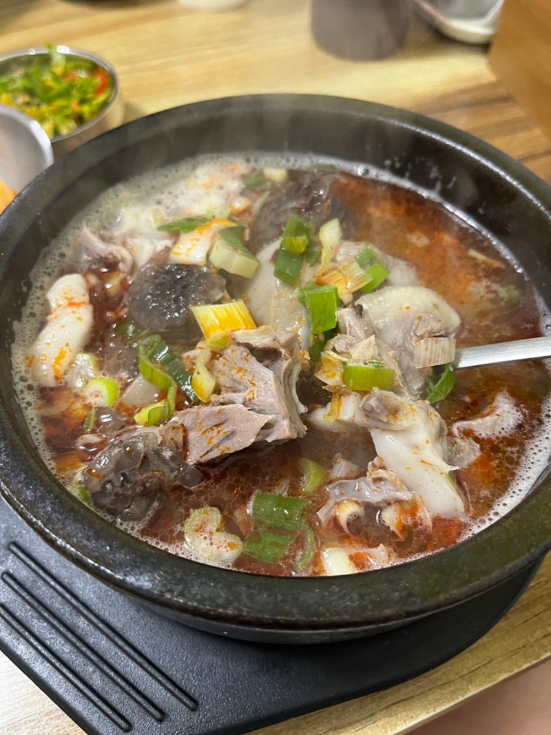 [춘천 맛집] 춘천 중앙시장 길성식당 맑은 국물 순대국밥 소머리국밥 현지인 로컬 노포 찐맛....