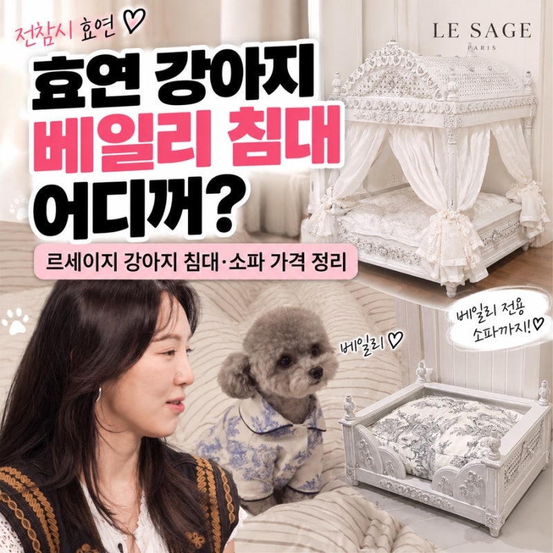 전참시 효연 강아지 베일리 침대 어디꺼? 르세이지 강아지 침대·소파 가격 정리