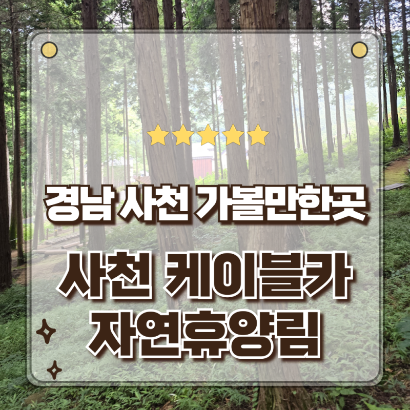 경남 사천여행 가볼만한곳 편백숲 속 향긋한 목공힐링 체험 사천목재문화체험장