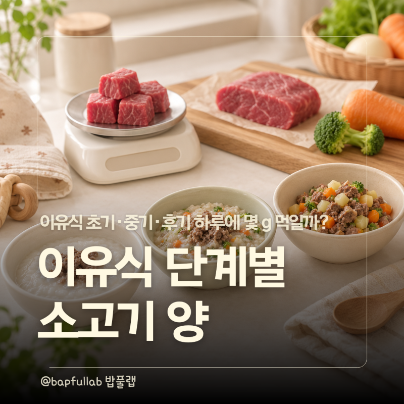 이유식 소고기 양, 초기·중기·후기 하루 몇 g 먹일까?