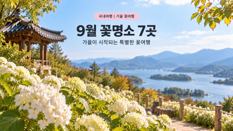 2026 9월 국내여행 | 가을 시작에 꼭 가볼 꽃명소 7곳
