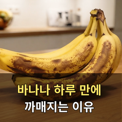 바나나 갈변 늦추는 법, 하루 만에 까매지지 않는 바나나 보관법