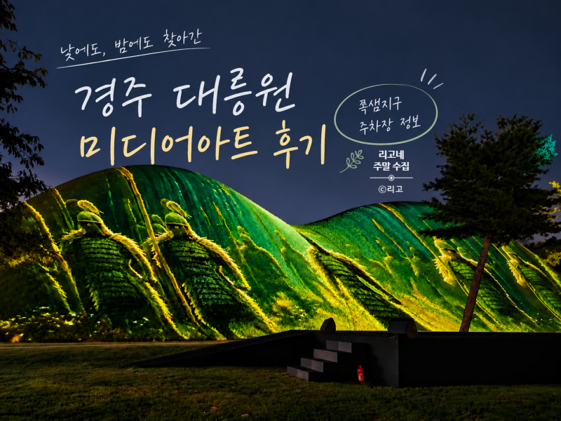 낮과 밤 모두 찾아가 본 경주 대릉원 미디어아트 후기｜주차 꿀팁