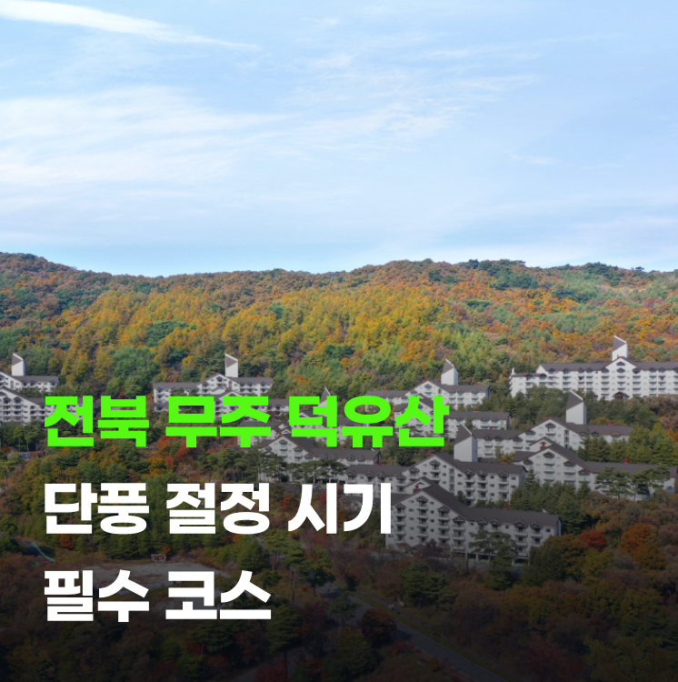 가을 여행 덕유산 단풍 절정 시기와 필수 코스 총정리
