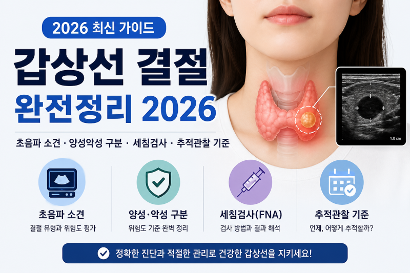 갑상선 결절 완전정리 2026 — 초음파 소견·양성악성 구분·세침검사·추적관찰 기준