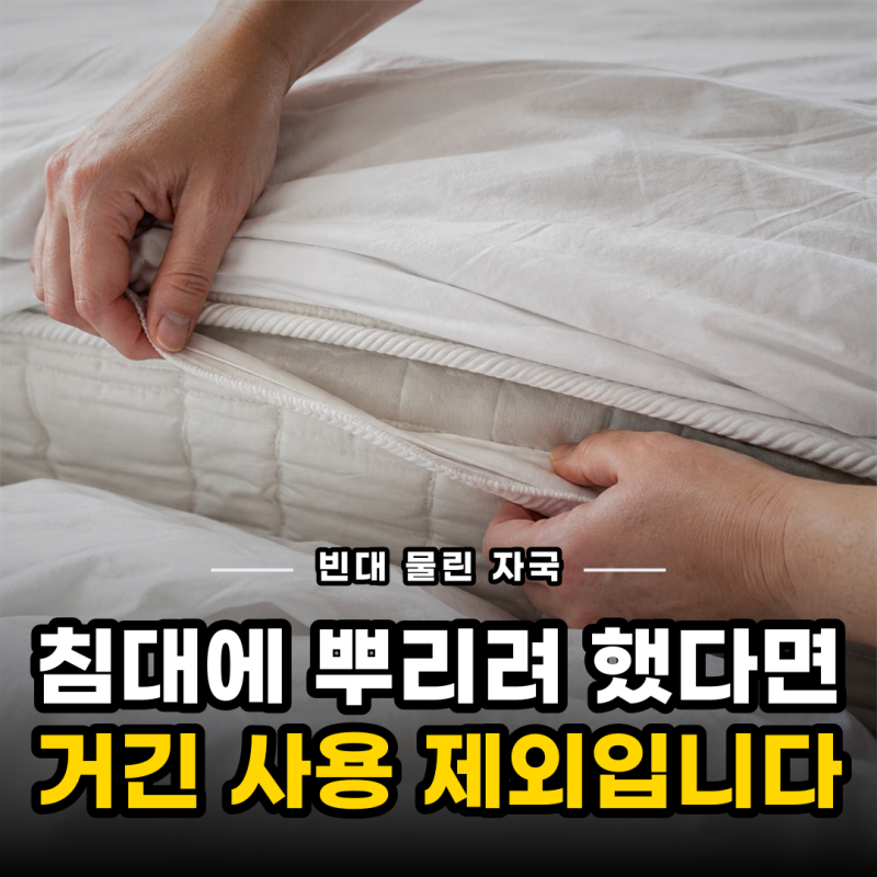 모기인 줄 알았는데 빈대물린자국이었어요, 베드버그퇴치제 사기 전에