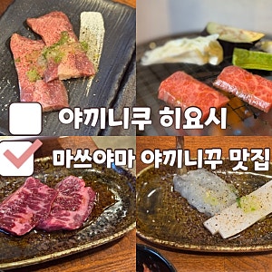 일본 마쓰야마 야끼니꾸 맛집 야끼니쿠 히요시