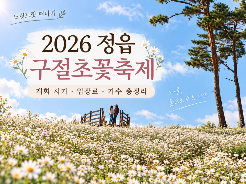2026 정읍 구절초꽃축제 개화 언제? — 한글날 연휴에 갈까, 둘째 주말까지 기다릴까