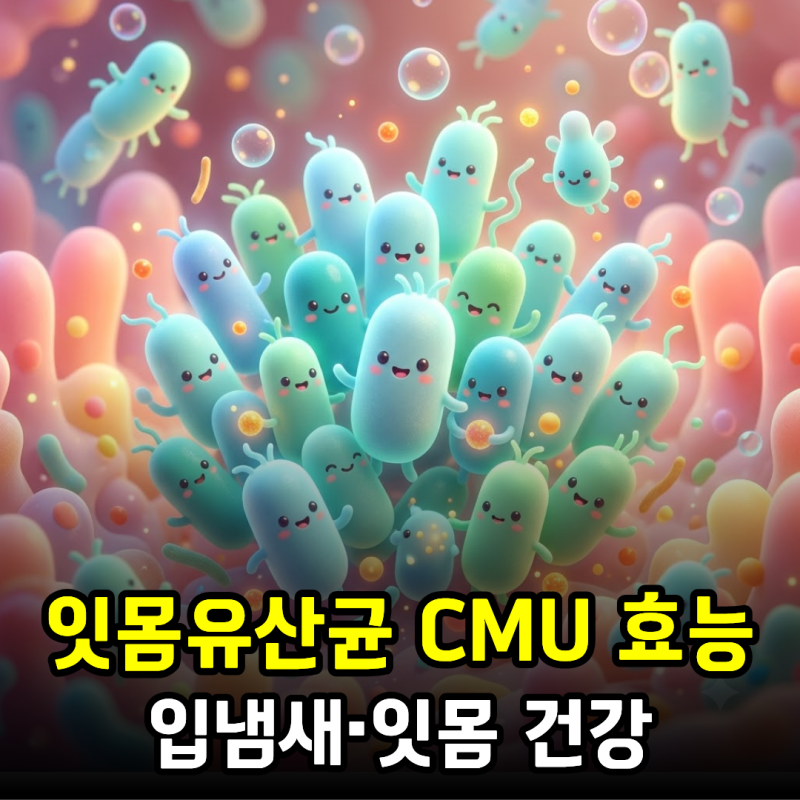 잇몸유산균 씨엠유 CMU 효능, 입냄새·잇몸 건강