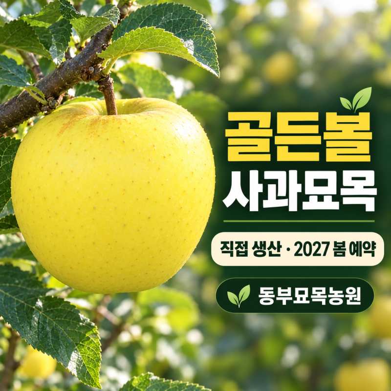 골든볼 사과묘목 예약｜직접 생산하는 동부묘목농원을 선택하는 이유