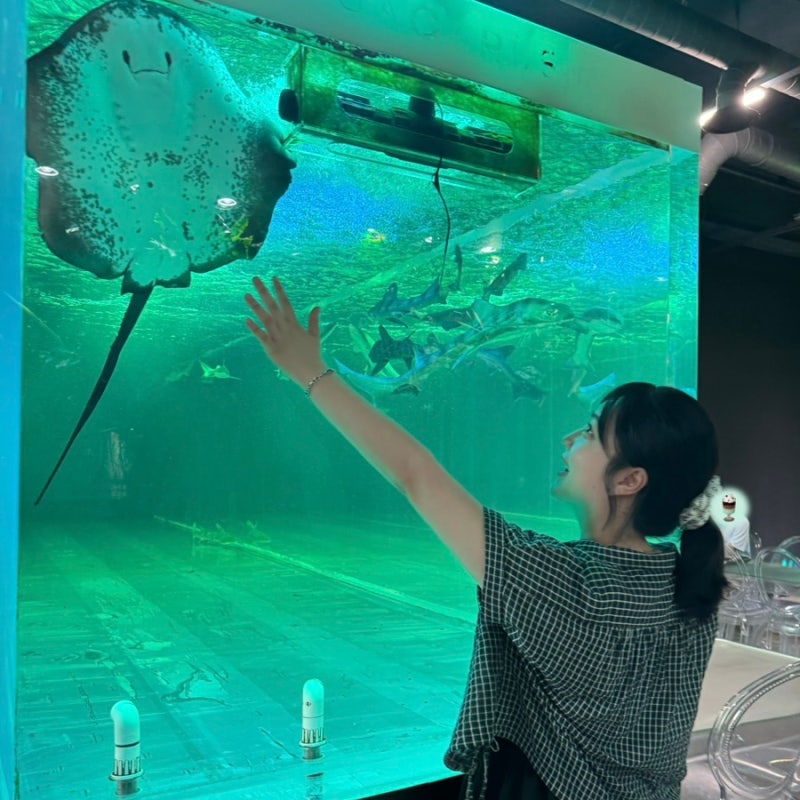 [일산] 오렌지아쿠아 / 수족관카페 넓다넓어 / 아이들이 좋아할만한 카페