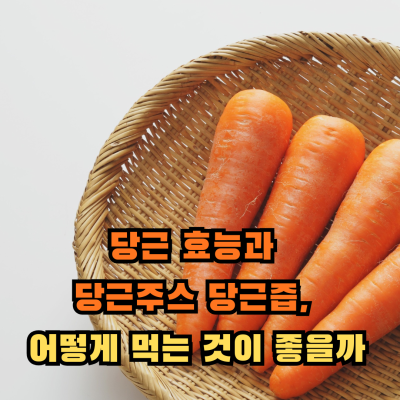 당근 효능과 당근주스 당근즙, 어떻게 먹는 것이 좋을까