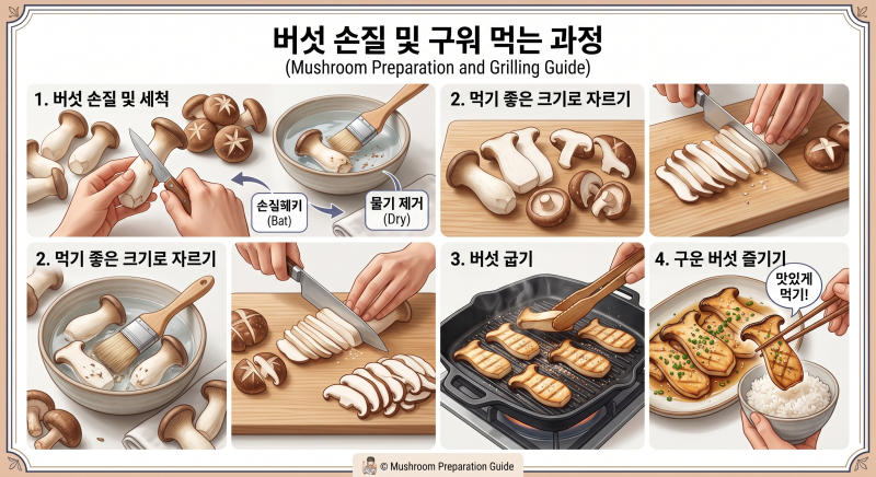 참송이버섯효능 과장된 정보가 많은 이유, 정확하게 알아봤습니다
