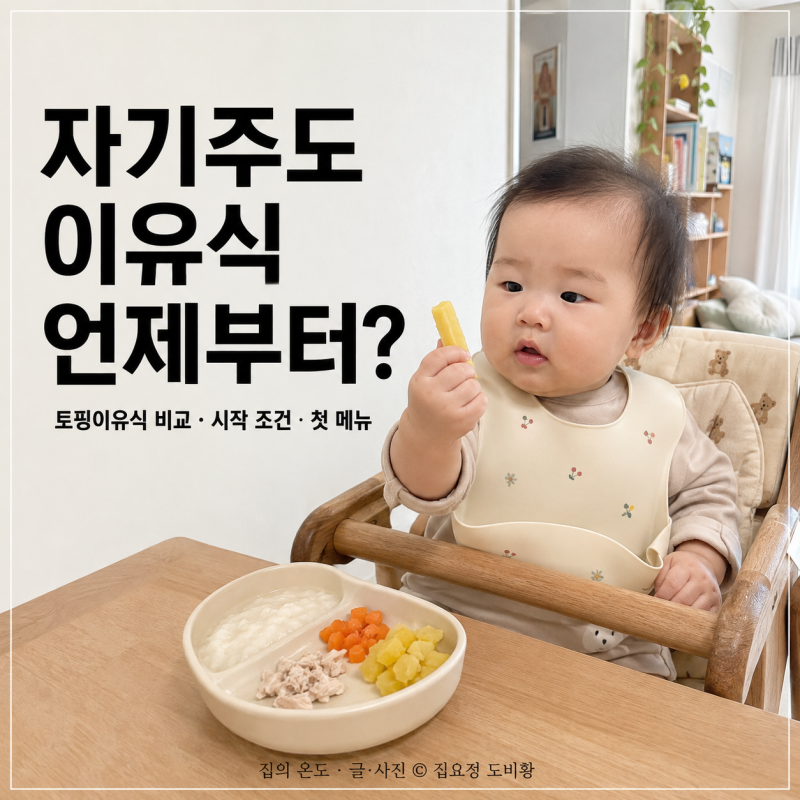 아기 자기주도 이유식 언제부터? 토핑이유식과 비교, 시작 조건과 첫 메뉴