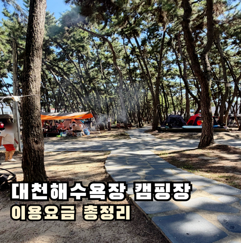 대천해수욕장 캠핑장, 바다 먹거리까지 즐기기 좋은 보령 캠핑장