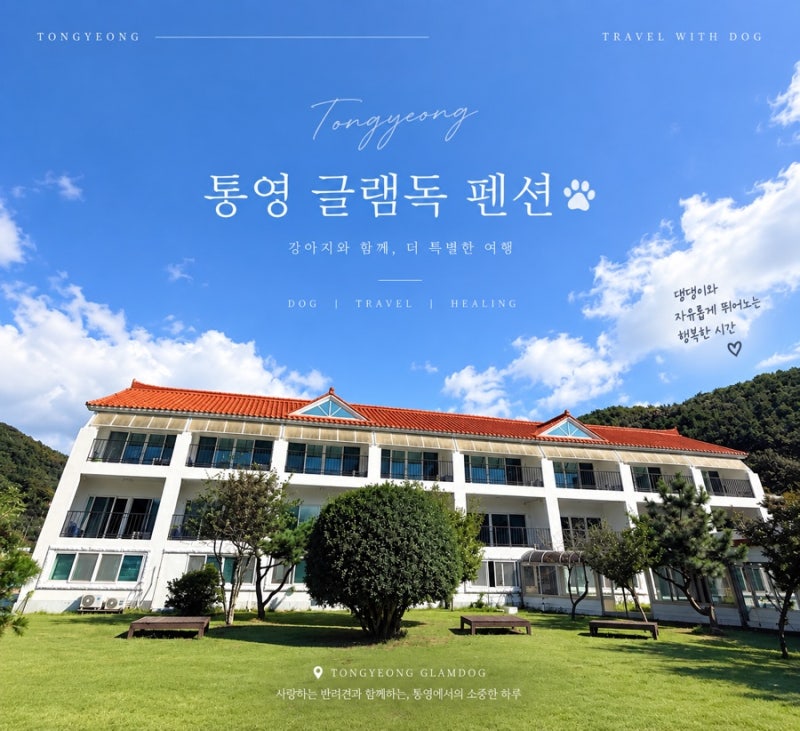 통영 애견펜션 글램독 후기｜강아지랑 수영하고 마음껏 뛰어놀기 좋은 곳