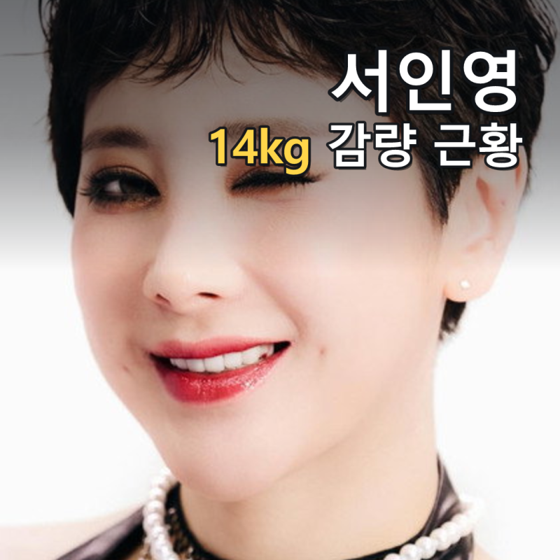 서인영 14kg 감량·속옷 화보…'비서진' 이서진 반응은