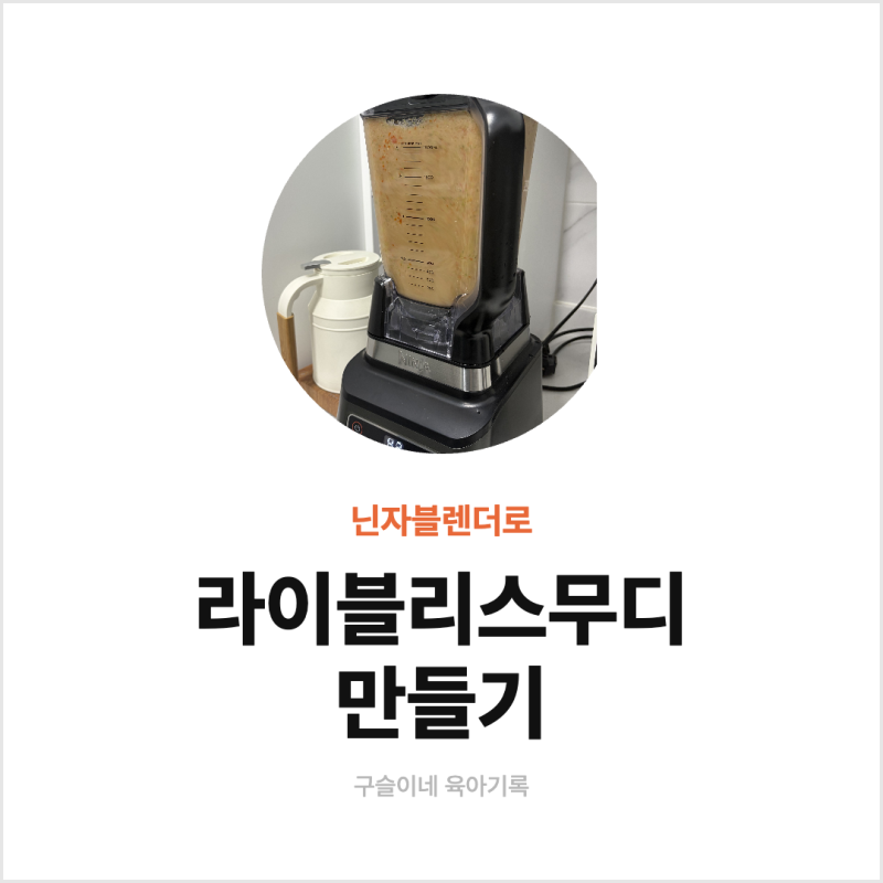 닌자블렌더로 라이블리스무디 만들기 (임산부 디톡스 스무디 후기)