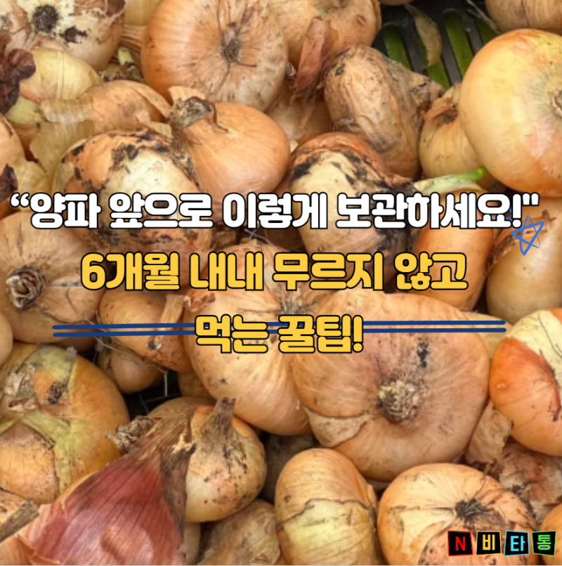 양파 보관방법 깐양파 안깐양파"6개월 내내 무르지 않고" 보관하는 꿀팁!