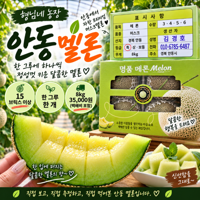 안동 멜론 농장 직접 가봤어요｜15브릭스 이상 머스크멜론, 8kg 35,000원