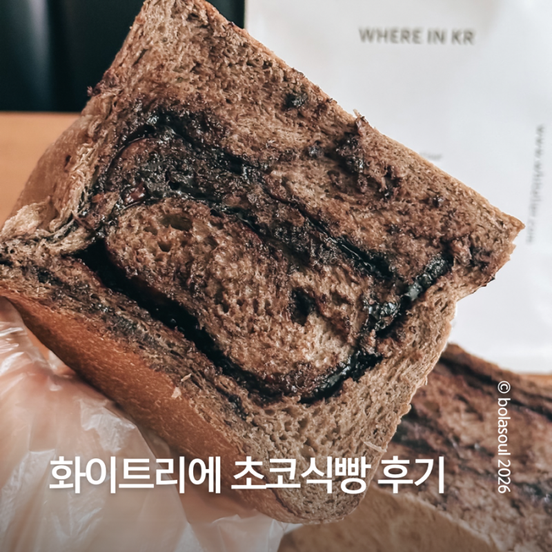 화이트리에 초코식빵 후기 | 가격 칼로리 보관법