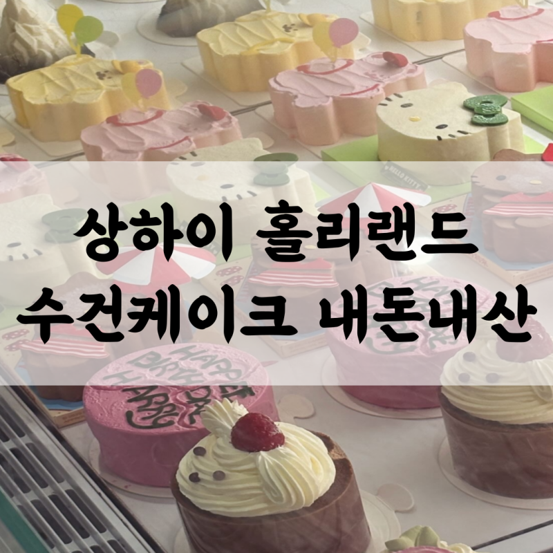 상하이 홀리랜드 수건케이크 | 유행 지나도 꼭 먹어볼 초코 디저트