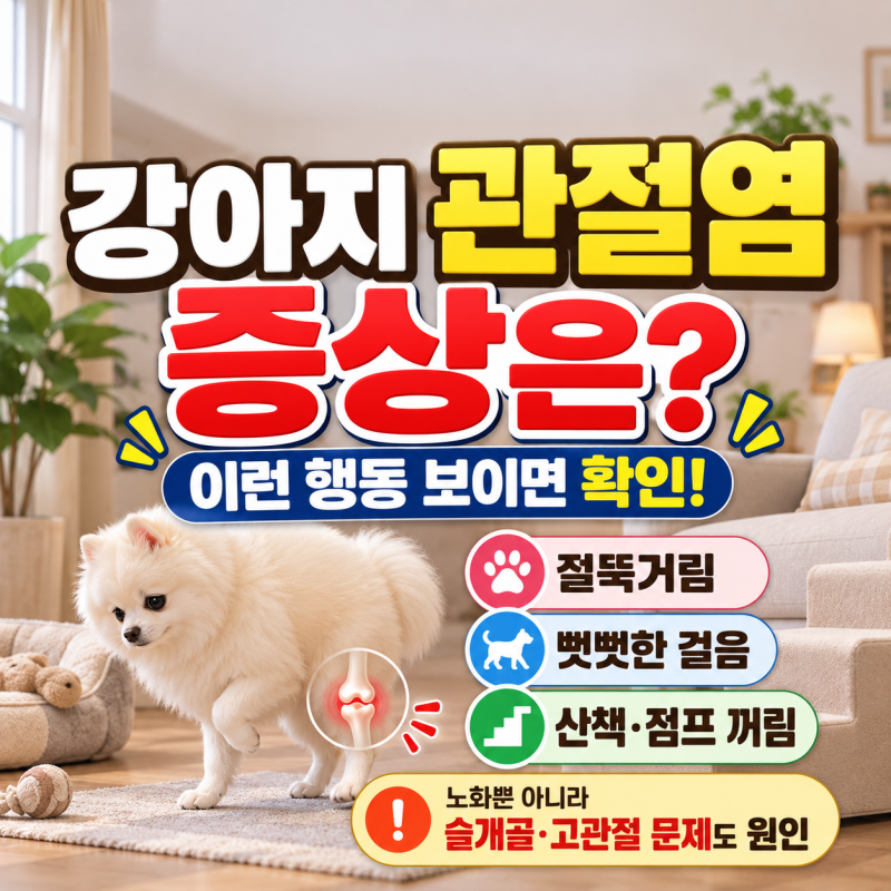 강아지 관절염 증상과 치료, 영양제 효과 있을까? 약, 주사 비용까지