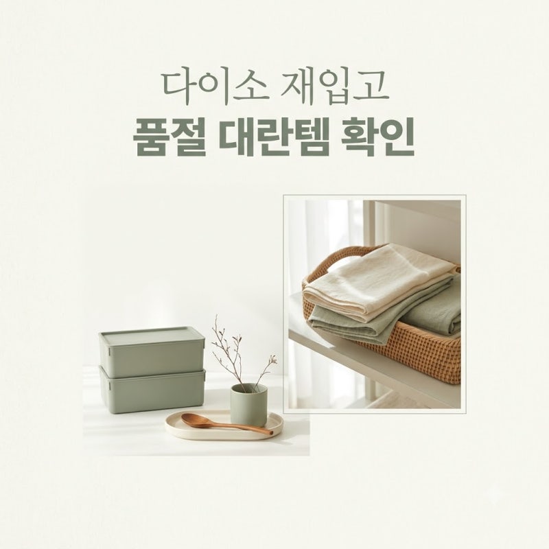 품절이라 못 샀다면? 다이소 재입고 뜬 대란템 다시 확인하세요