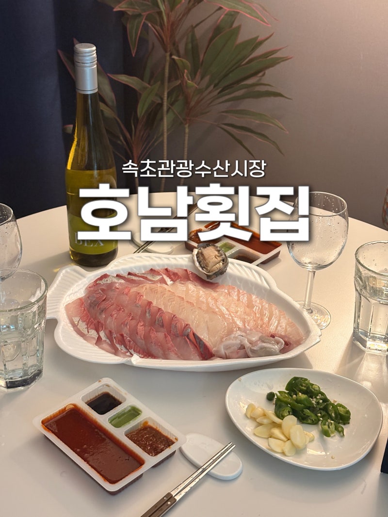 속초 | 속초관광수산시장 호남횟집 모둠회 2인 포장