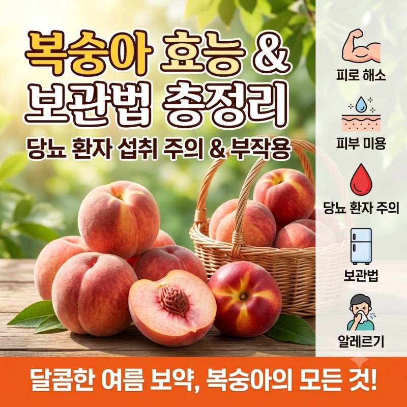 복숭아 효능과 보관법 총정리, 당뇨 환자 섭취 시 주의할 점 및 부작용