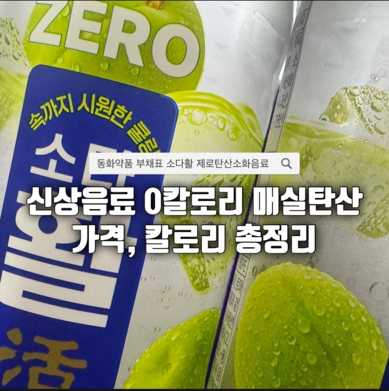 신상음료 동화약품 소다활 제로 탄산음료 매실맛 GS편의점 내돈내산 후기