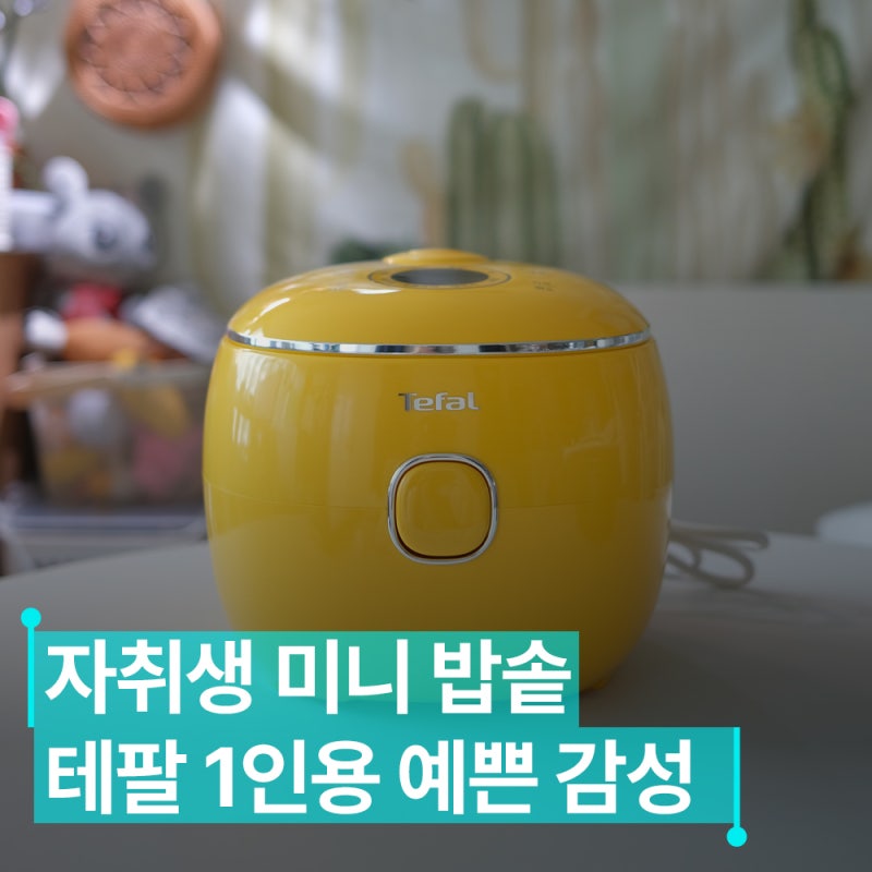 2인용 밥솥 테팔 미니밥솥 후기 자취생 신혼부부용으로 괜찮을까?