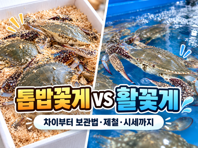 톱밥꽃게 활꽃게와 차이부터 보관법 제철 시세 정리