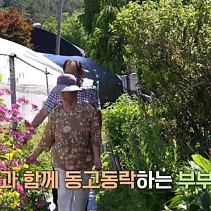 고향민국 성남 4부. 성남, 청계산 옛골마을 사람들| 옛골등산코스 봉수대 부엉이바위 이수봉 ....
