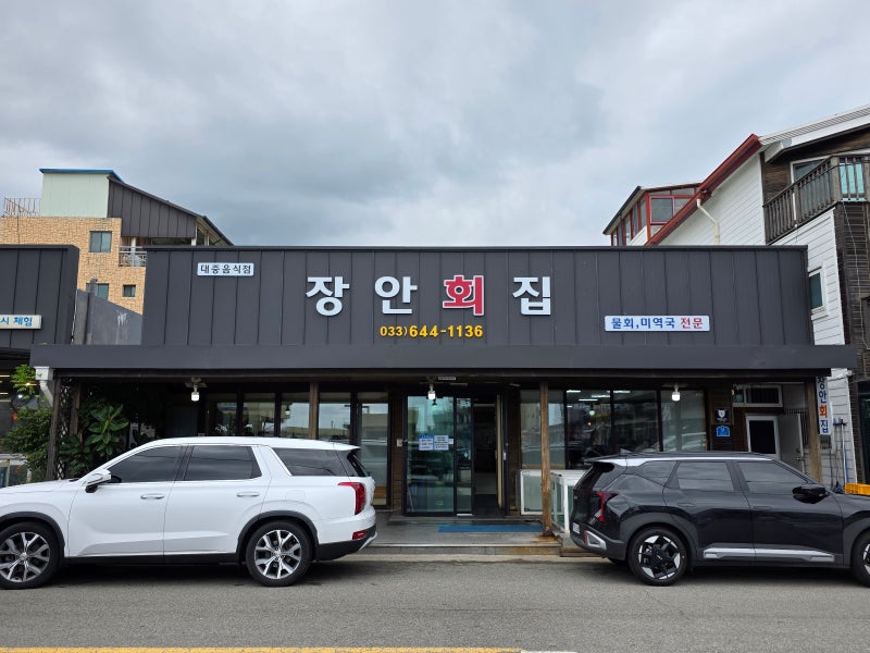 [강원 강릉] 풍자 또간집/강릉 물회맛집? 미역국 맛집! _ 장안횟집