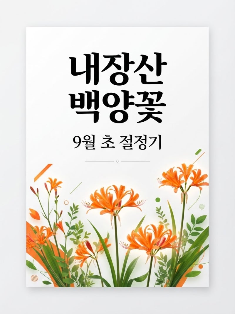 정읍 내장산 백양꽃 2026년 절정, 9월 절정 붉은 꽃길 총정리