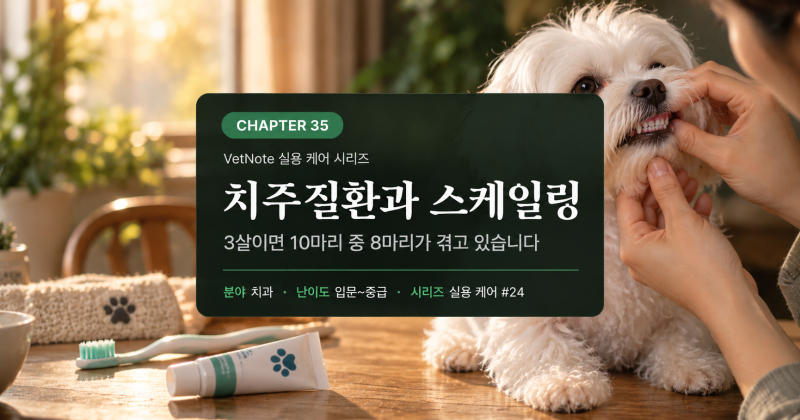 반려동물 입 냄새, 치주질환 신호일까? 스케일링 시기와 마취까지 총정리