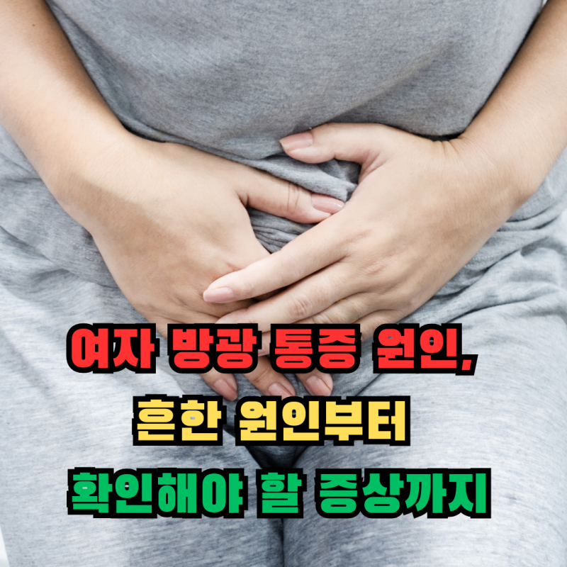 여자 방광 통증 원인, 흔한 원인부터 확인해야 할 증상까지