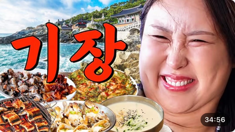 또간집 EP108 기장편 맛집 총정리｜풍자가 찾은 부산 기장 로컬 맛집 3곳