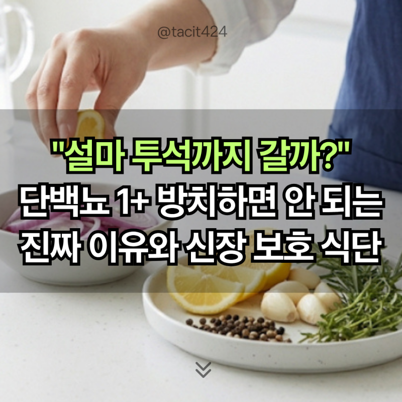 "설마 투석까지 갈까?" 소변검사 단백뇨 1+ 방치하면 안 되는 진짜 이유와 신장 보호 식단
