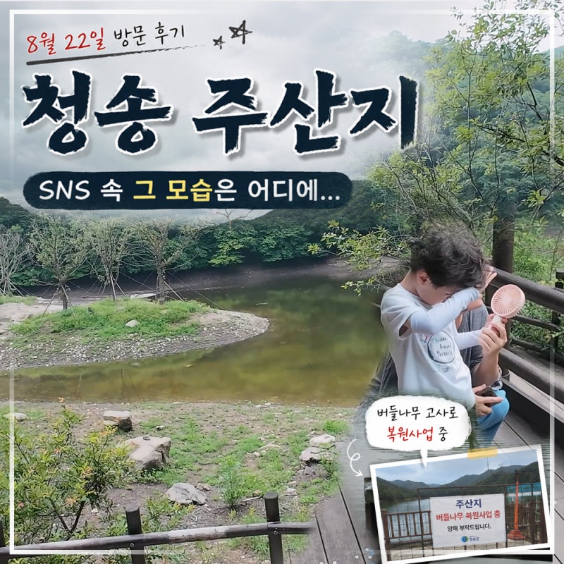 과거에 속지 마세요! 청송 주산지 한여름 낮 리얼 후기 (주차 및 복원 사업)