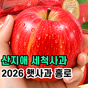 ✅2026 햇사과 산지애 씻어나온 꿀사과 홍로 찐후기‼️