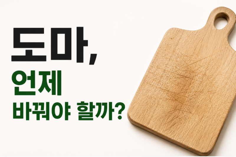 도마 교체시기는 언제일까? 나무·플라스틱 도마 관리법과 교체 신호