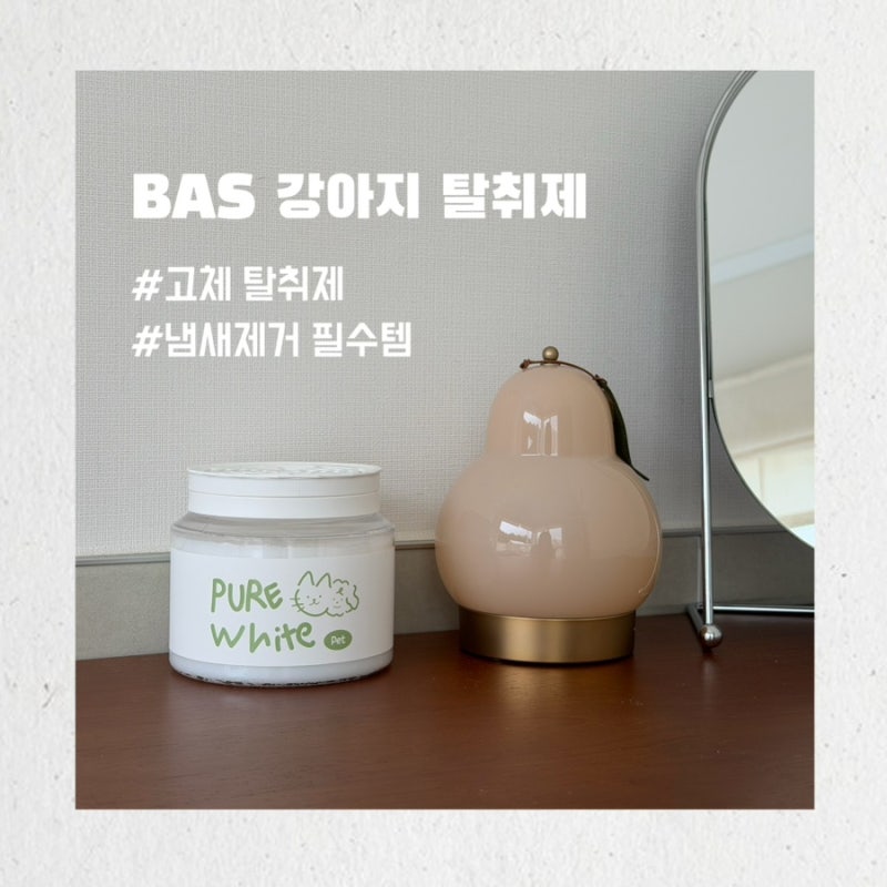 강아지 소변냄새를 한 번에 잡을 수 있다고? 국민 탈취제 바스로 해결완료
