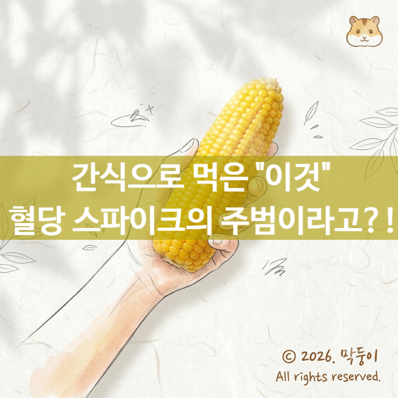 삶은 옥수수 효능 100g 당질 폭탄? 당뇨 환자 필수 확인