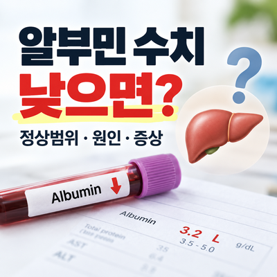 알부민 수치 낮으면? 정상범위·원인·증상 총정리