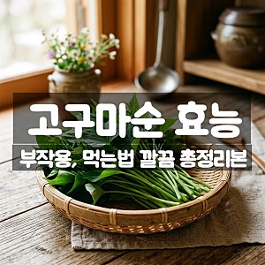 고구마순 효능 부작용 먹는법 – 여름철 건강반찬으로 사랑받는 이유