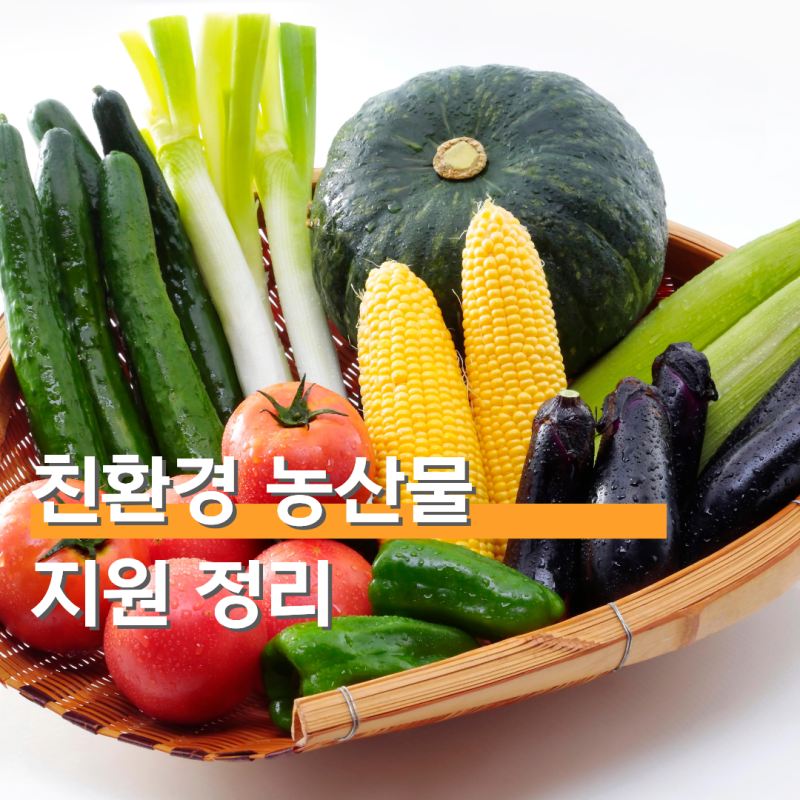 서울시 임산부 친환경 농산물 지원 대상 에코이몰 신청 방법